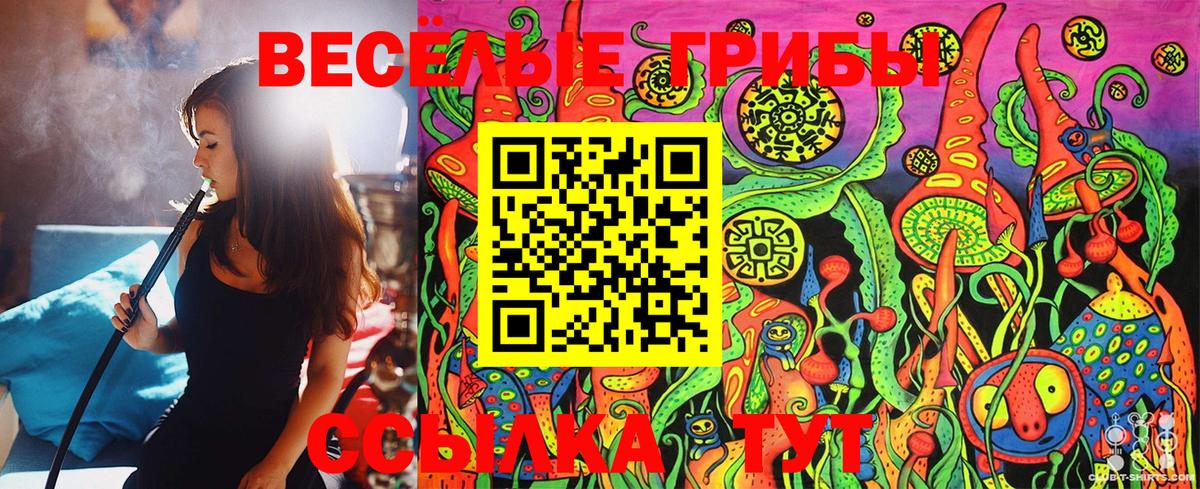 Галлюциногенные грибы GOLDEN TEACHER  где продают   Дивногорск  Вход с VPN 