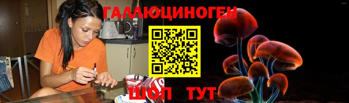 Псилоцибиновые грибы MAGIC MUSHROOMS Дивногорск